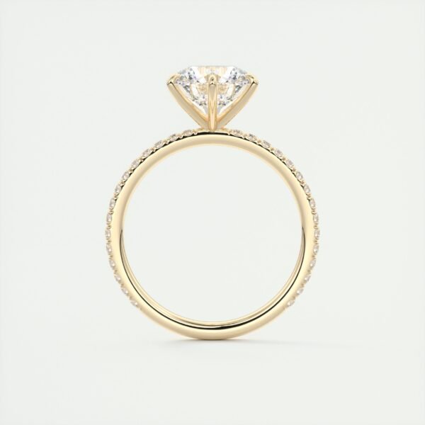 Solitaire Diamond Engagement Ring with Micro-Pave Band - Image 25